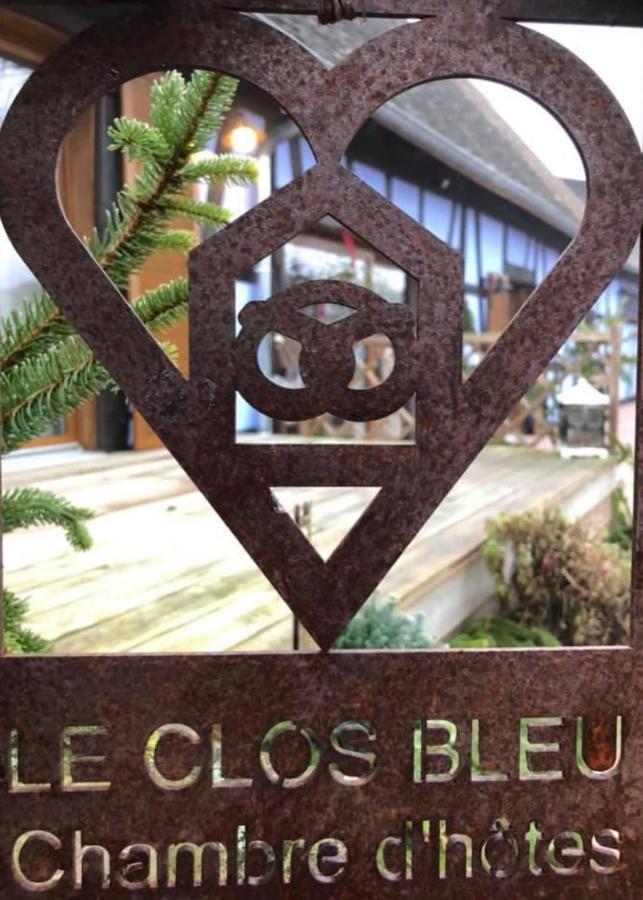 Le Clos Bleu - Gite Rural Schillersdorf Exteriér fotografie