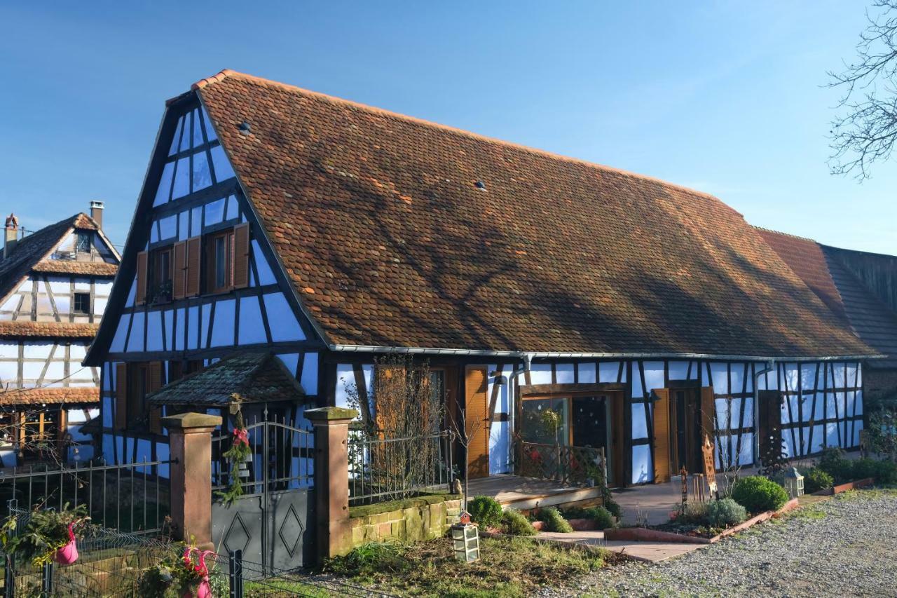 Le Clos Bleu - Gite Rural Schillersdorf Exteriér fotografie