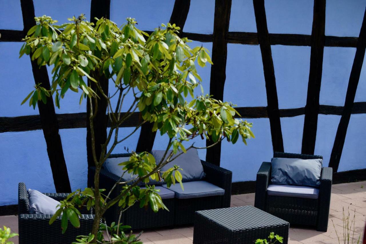 Le Clos Bleu - Gite Rural Schillersdorf Exteriér fotografie