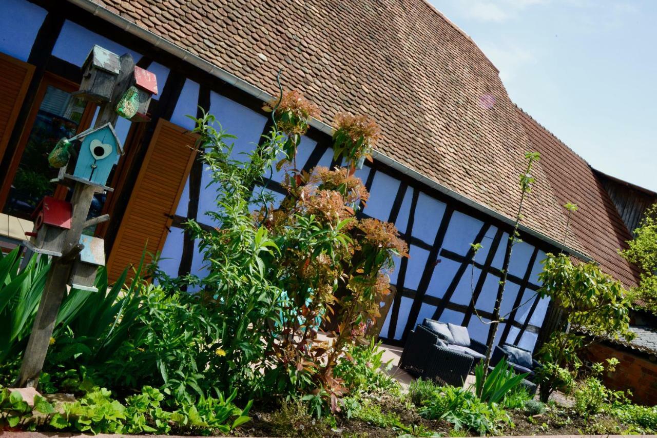 Le Clos Bleu - Gite Rural Schillersdorf Exteriér fotografie
