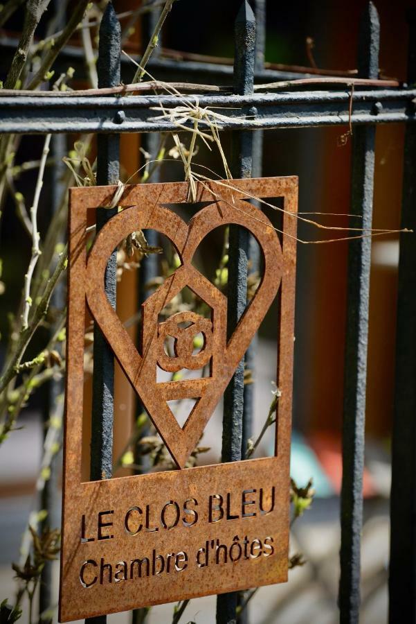 Le Clos Bleu - Gite Rural Schillersdorf Exteriér fotografie